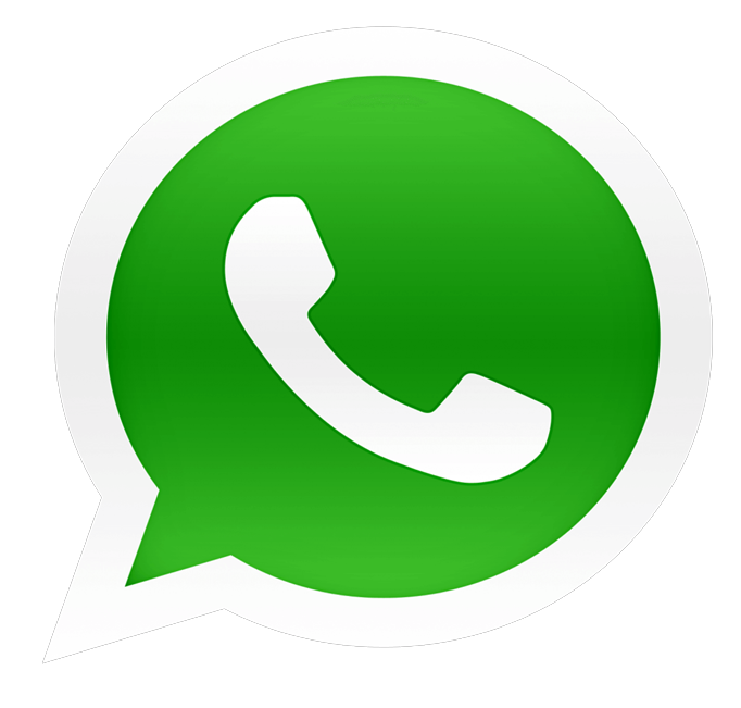 logo ws